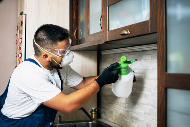 Best Local Pest Control Services  in North Amityville, NY