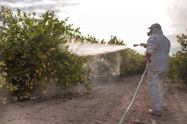 Best Pest Control Near Me in North Amityville, NY