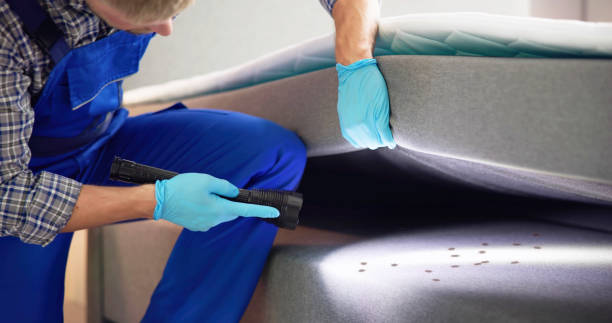 Best Best Pest Control Near Me  in North Amityville, NY